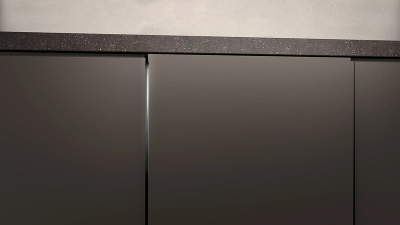 Neff S197ZCX08G, Fully-integrated dishwasher