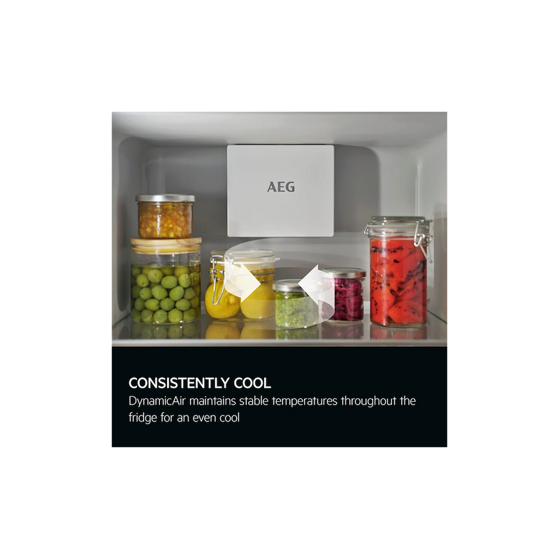 AEG TK6DS181ES 6000 Series, Built-In Larder Fridge