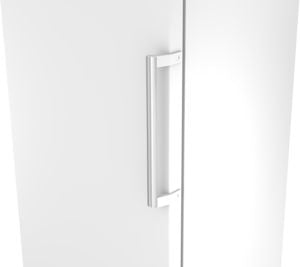 Bosch KSN36VWDGG, Free-standing fridge