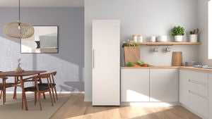 Bosch GSN36VWDGG, Free-standing freezer