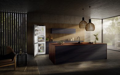 Liebherr CBNsfc 57vi Plus Freestanding Fridge and freezer