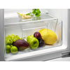 Zanussi Series 20 ZRAN88ES Built-In Undercounter Fridge (Discontinued) Thumbnail