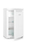 Liebherr Rd 1201 Pure Freestanding Fridge Thumbnail