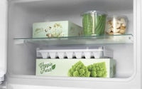 Freezer Compartment Shelf
