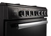Rangemaster PROPL60DFFBL/C 60cm Professional+ Dual Fuel Cooker Thumbnail