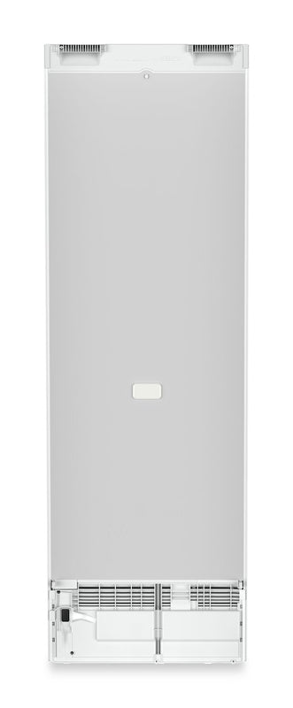Liebherr RBd5250 Freestanding Fridge with BioFresh (Discontinued)